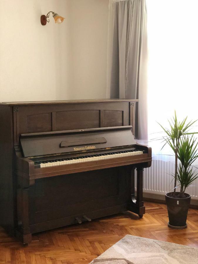 Musik Apartments Old Town Сибиу Экстерьер фото