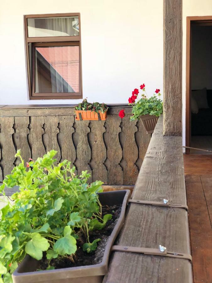 Musik Apartments Old Town Сибиу Экстерьер фото